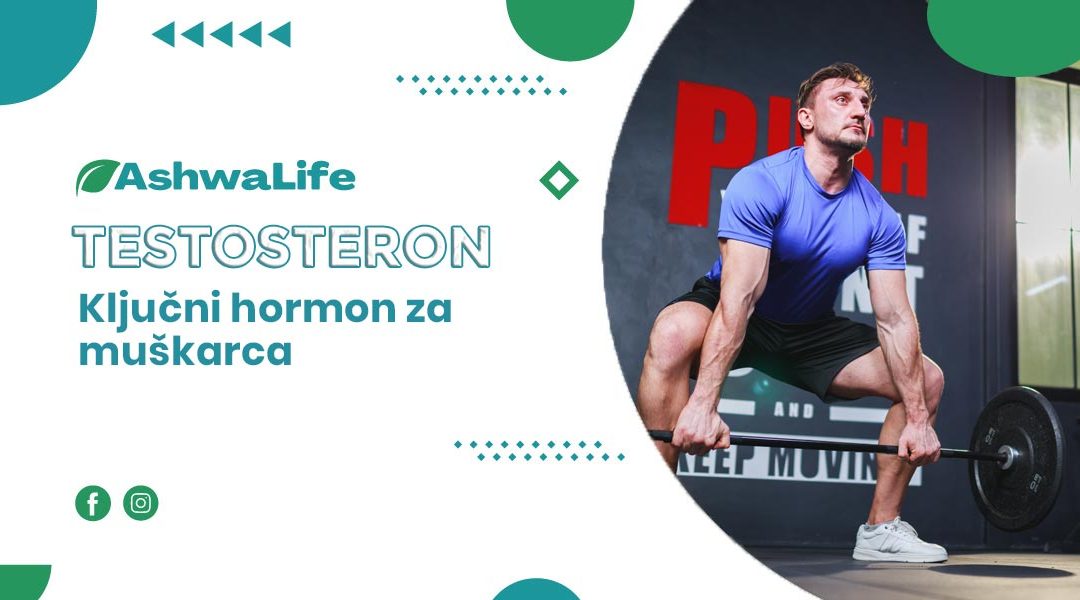 Testosteron: Ključni hormon za muško zdravlje i vitalnost