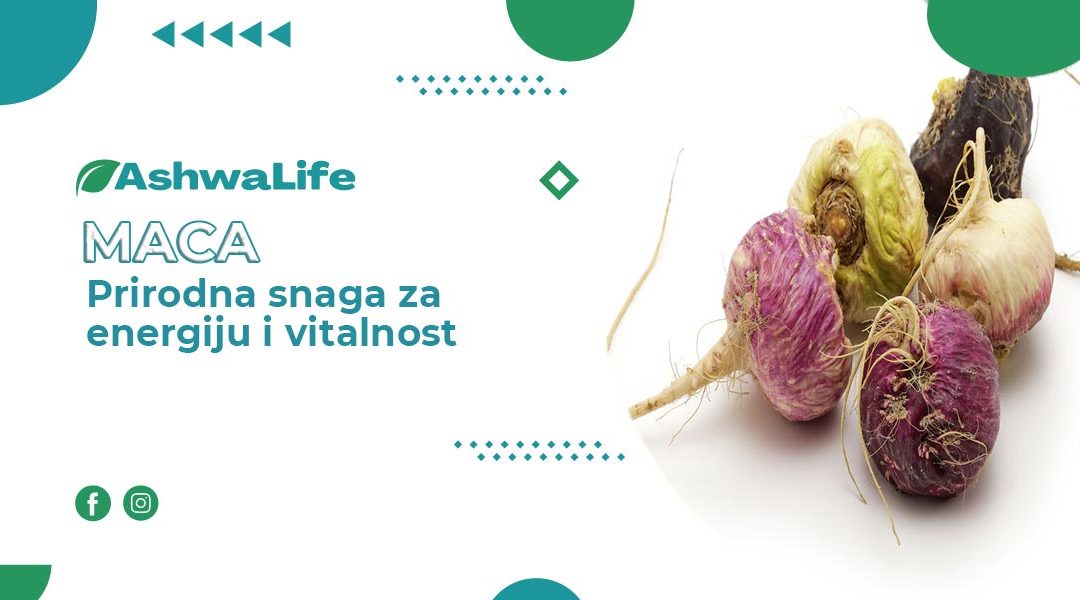 Maca: Prirodna snaga za energiju i vitalnost