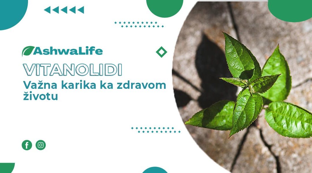 Vitanolidi: Važna karika ka zdravom životu