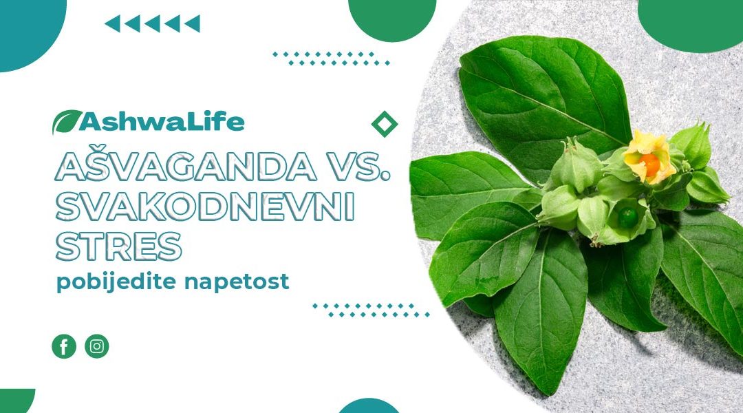Ašvaganda vs. svakodnevni stres: Pobijedite napetost i vratite unutarnji mir